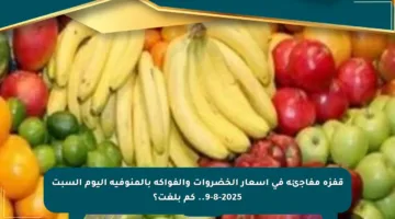 قفزة مفاجئة في أسعار الخضروات والفواكه بالمنوفية اليوم السبت 9-8-2025.. كم بلغت؟